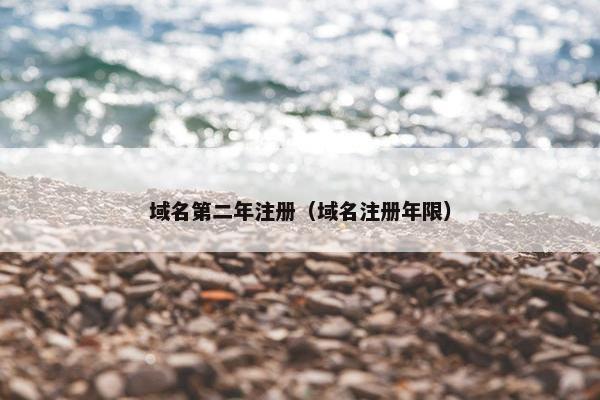 域名第二年注册（域名注册年限）