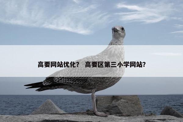 高要网站优化？ 高要区第三小学网站？