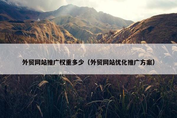 外贸网站推广权重多少（外贸网站优化推广方案）