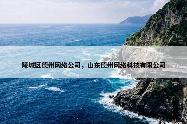陵城区德州网络公司，山东德州网络科技有限公司