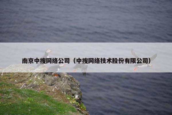 南京中搜网络公司（中搜网络技术股份有限公司）