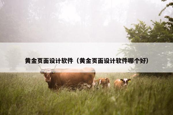 黄金页面设计软件（黄金页面设计软件哪个好）