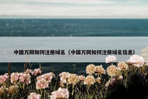 中国万网如何注册域名（中国万网如何注册域名信息）