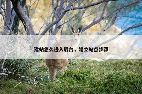 建站怎么进入后台，建立站点步骤