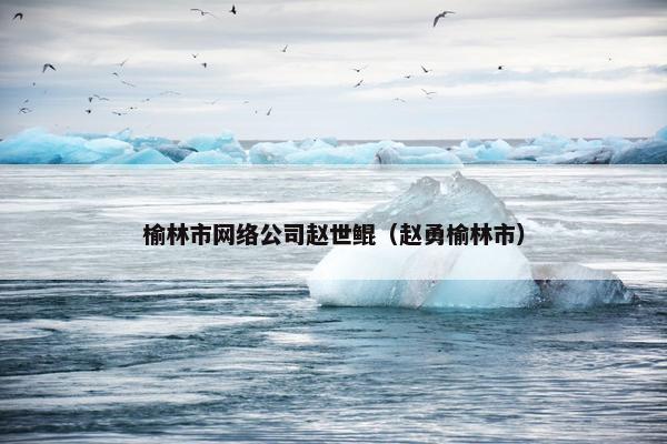 榆林市网络公司赵世鲲(赵勇榆林市) 榆林市网络公司赵世鲲(赵勇榆林市)