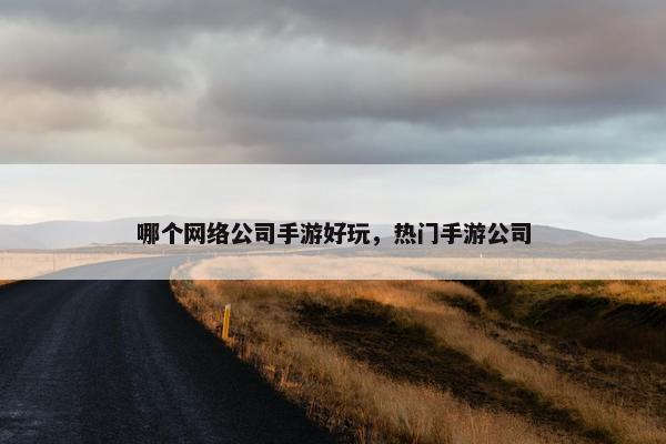 哪个网络公司手游好玩，热门手游公司