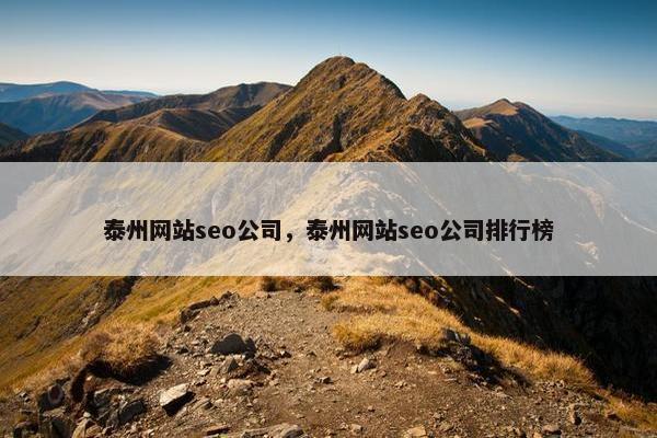 泰州网站seo公司，泰州网站seo公司排行榜