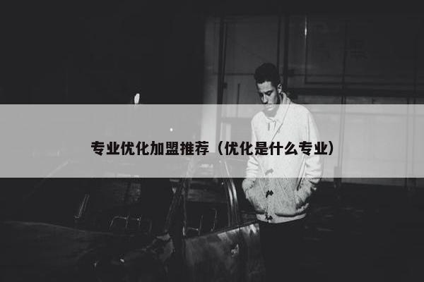 专业优化加盟推荐（优化是什么专业）