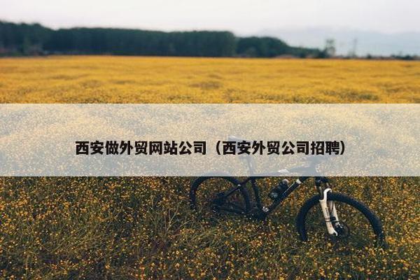 西安做外贸网站公司（西安外贸公司招聘）