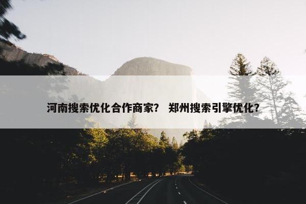 河南搜索优化合作商家？ 郑州搜索引擎优化？