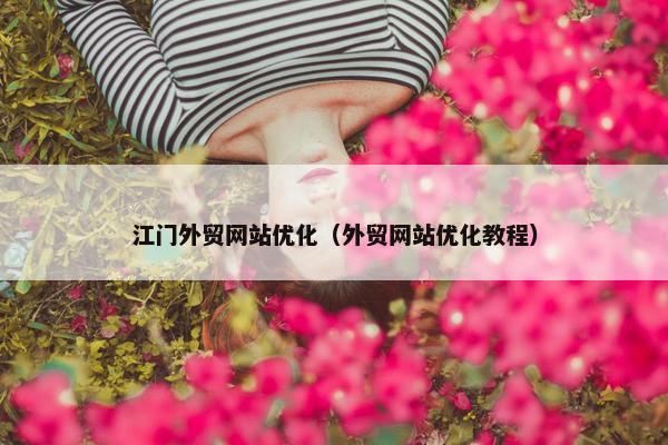 江门外贸网站优化（外贸网站优化教程）
