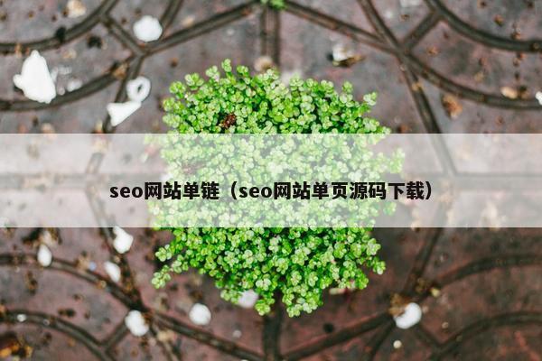 seo网站单链（seo网站单页源码下载）