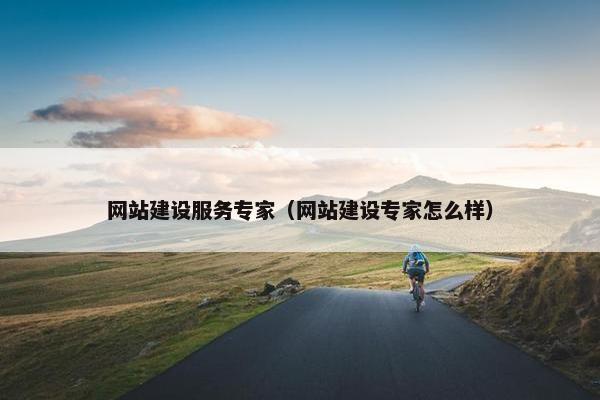 网站建设服务专家（网站建设专家怎么样）