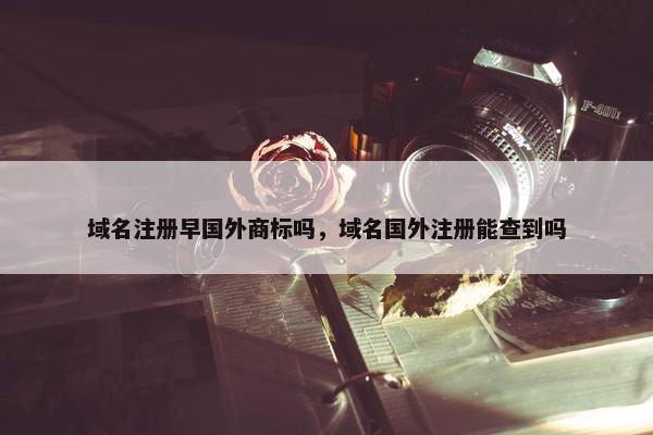 域名注册早国外商标吗，域名国外注册能查到吗