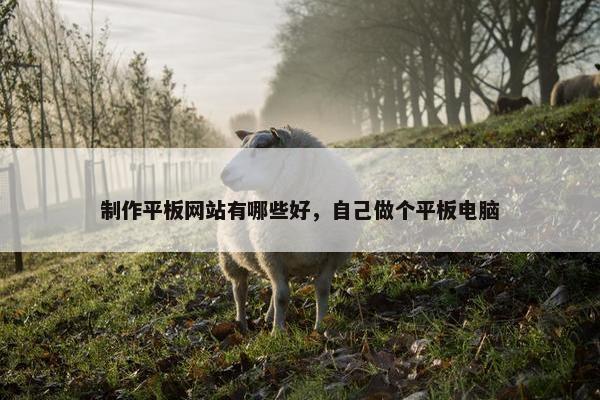 制作平板网站有哪些好，自己做个平板电脑