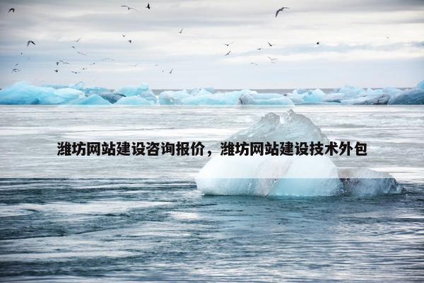 潍坊网站建设咨询报价，潍坊网站建设技术外包