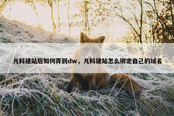 凡科建站后如何弄到dw，凡科建站怎么绑定自己的域名