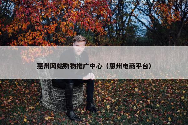 惠州网站购物推广中心（惠州电商平台）