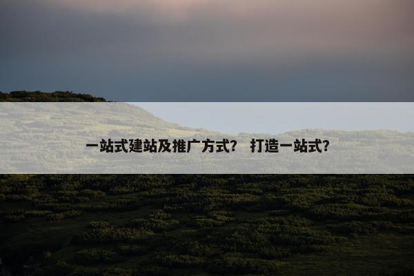 一站式建站及推广方式？ 打造一站式？