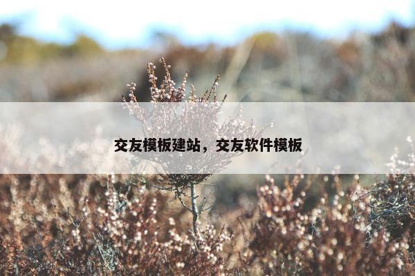 交友模板建站，交友软件模板