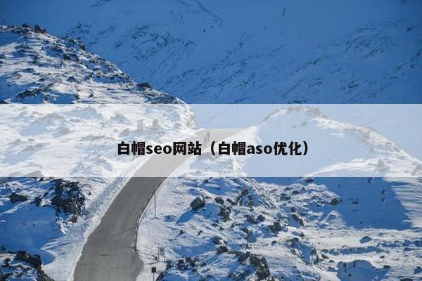 白帽seo网站（白帽aso优化）