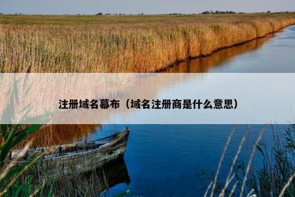 注册域名幕布（域名注册商是什么意思）