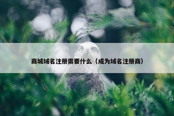 商城域名注册需要什么（成为域名注册商）