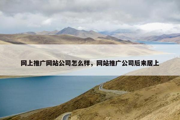 网上推广网站公司怎么样，网站推广公司后来居上