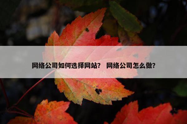 网络公司如何选择网站？ 网络公司怎么做？