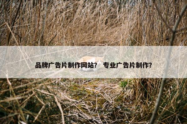 品牌广告片制作网站？ 专业广告片制作？