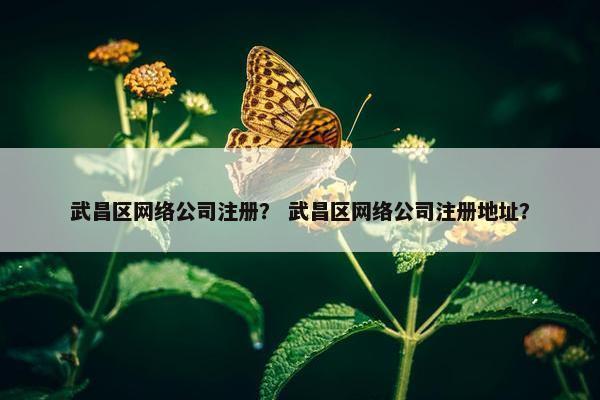 武昌区网络公司注册？ 武昌区网络公司注册地址？