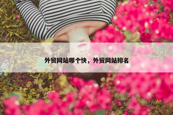 外贸网站哪个快，外贸网站排名
