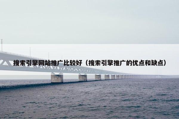 搜索引擎网站推广比较好（搜索引擎推广的优点和缺点）