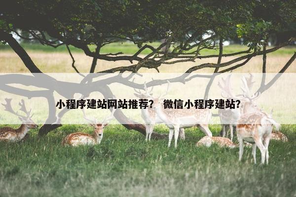 小程序建站网站推荐？ 微信小程序建站？