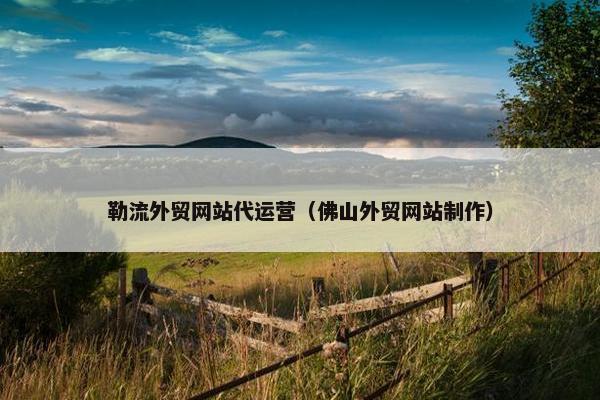 勒流外贸网站代运营（佛山外贸网站制作）