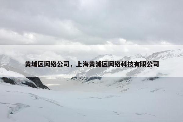 黄埔区网络公司，上海黄浦区网络科技有限公司