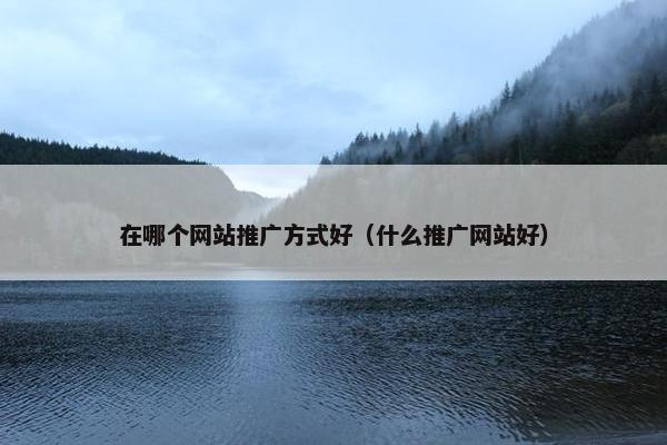 在哪个网站推广方式好（什么推广网站好）