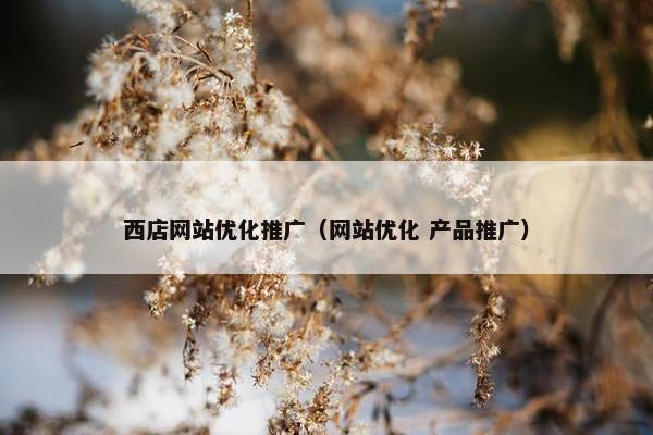 西店网站优化推广（网站优化 产品推广）