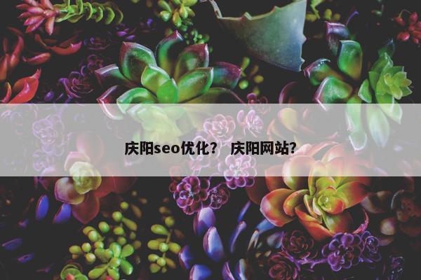 庆阳seo优化？ 庆阳网站？