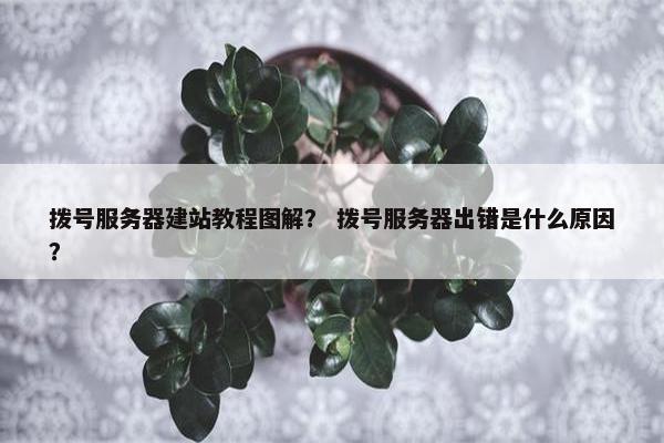 拨号服务器建站教程图解？ 拨号服务器出错是什么原因？