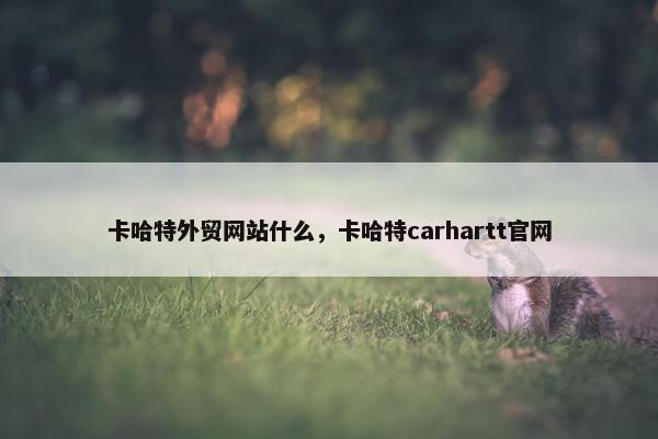 卡哈特外贸网站什么，卡哈特carhartt官网