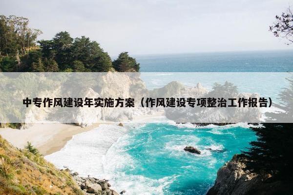 中专作风建设年实施方案（作风建设专项整治工作报告）