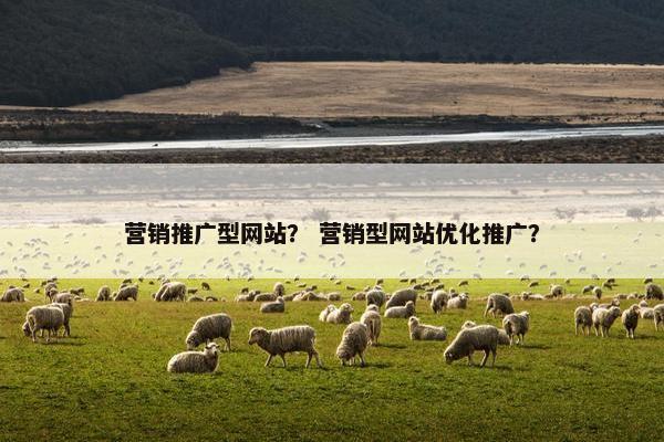 营销推广型网站？ 营销型网站优化推广？