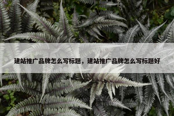 建站推广品牌怎么写标题，建站推广品牌怎么写标题好
