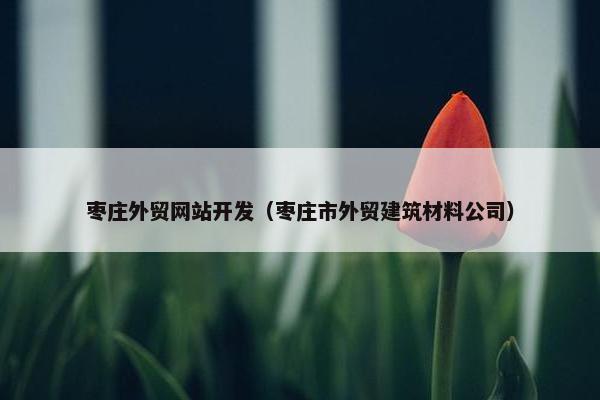 枣庄外贸网站开发（枣庄市外贸建筑材料公司）