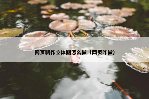 网页制作立体图怎么做（网页咋做）