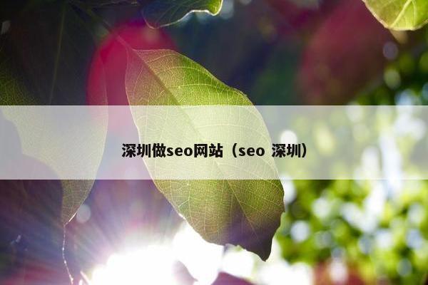 深圳做seo网站（seo 深圳）