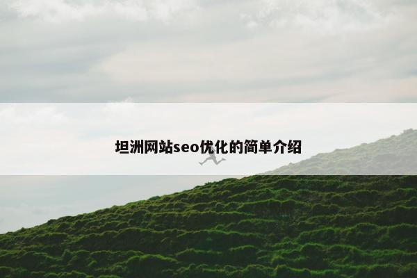 坦洲网站seo优化的简单介绍