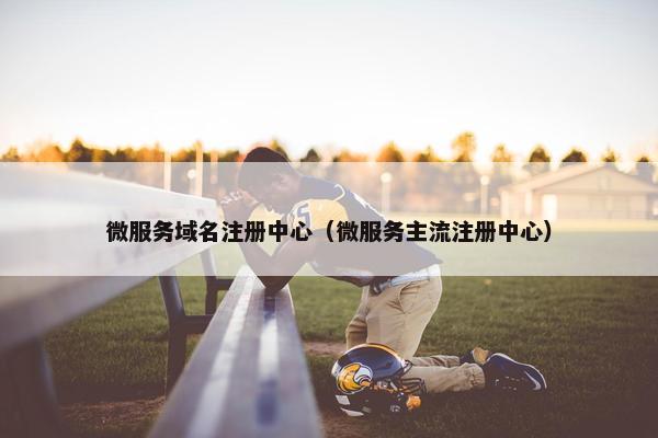 微服务域名注册中心（微服务主流注册中心）