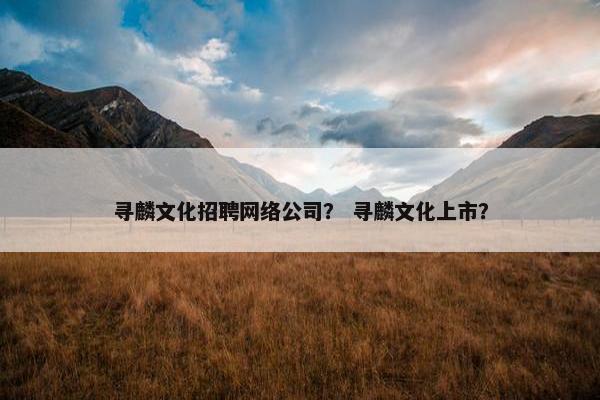 寻麟文化招聘网络公司？ 寻麟文化上市？